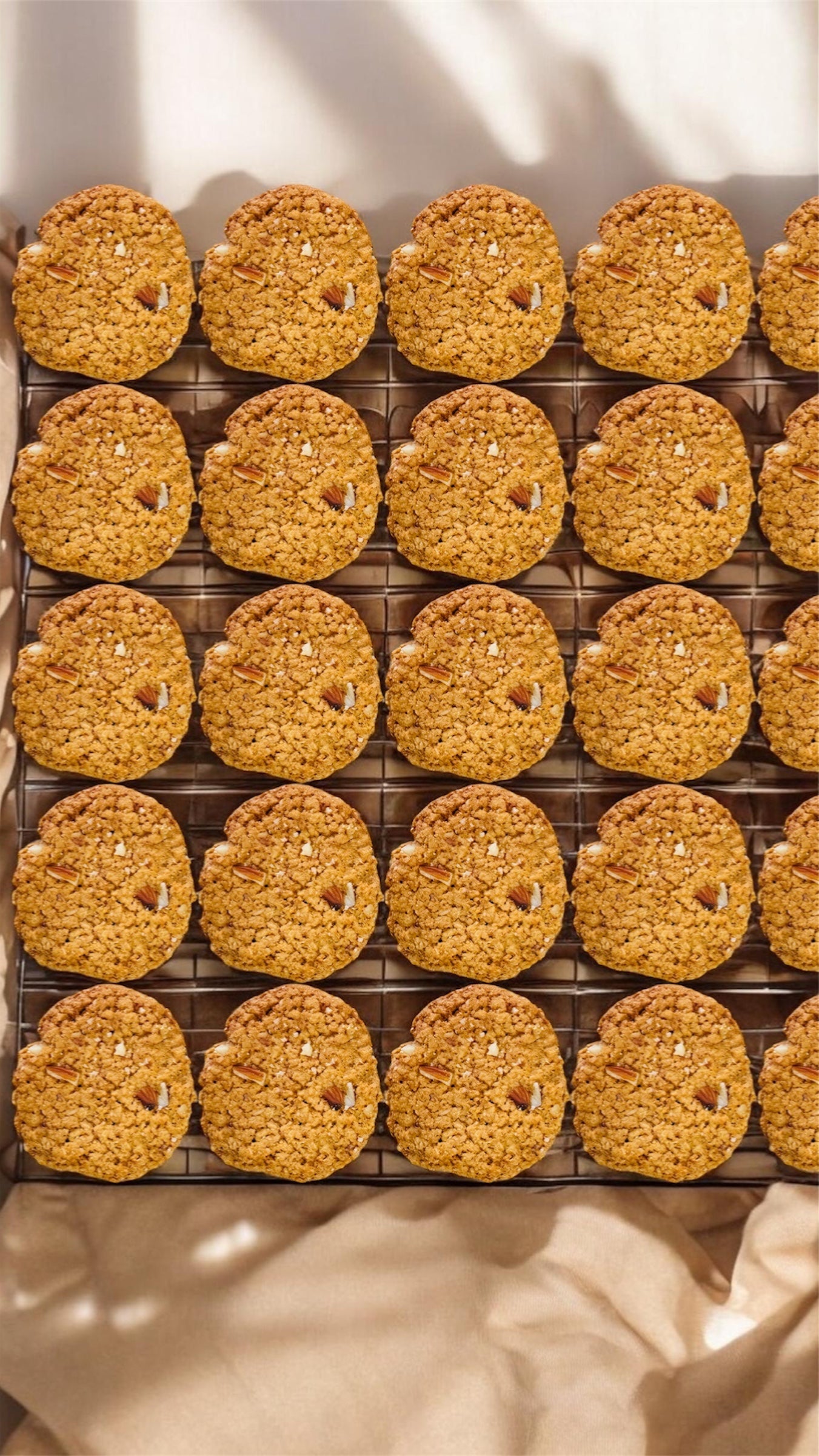 Oats Cookies
